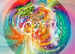 Gehirn Bunt